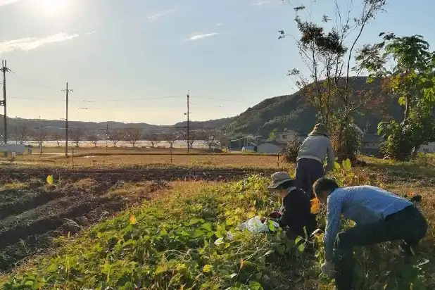 10月：秋季丰收节