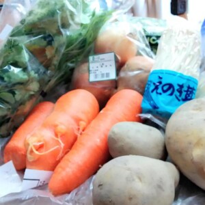 有機野菜セット