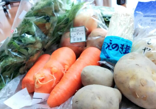 有機野菜セット