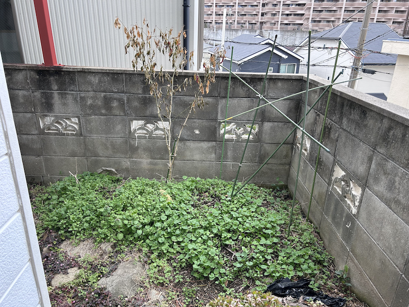 Vegetable garden space 